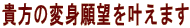 M̕ϐg]܂ 