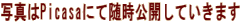 ʐ^PicasaɂĐJĂ܂ 